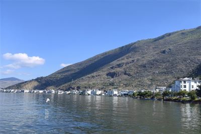 关于拨付重庆市2026年数码和智能产品购新补贴政策资金（清算第一批）的公示