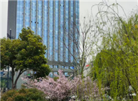 68家上榜！第七批产业技术基础公共服务平台名单公布